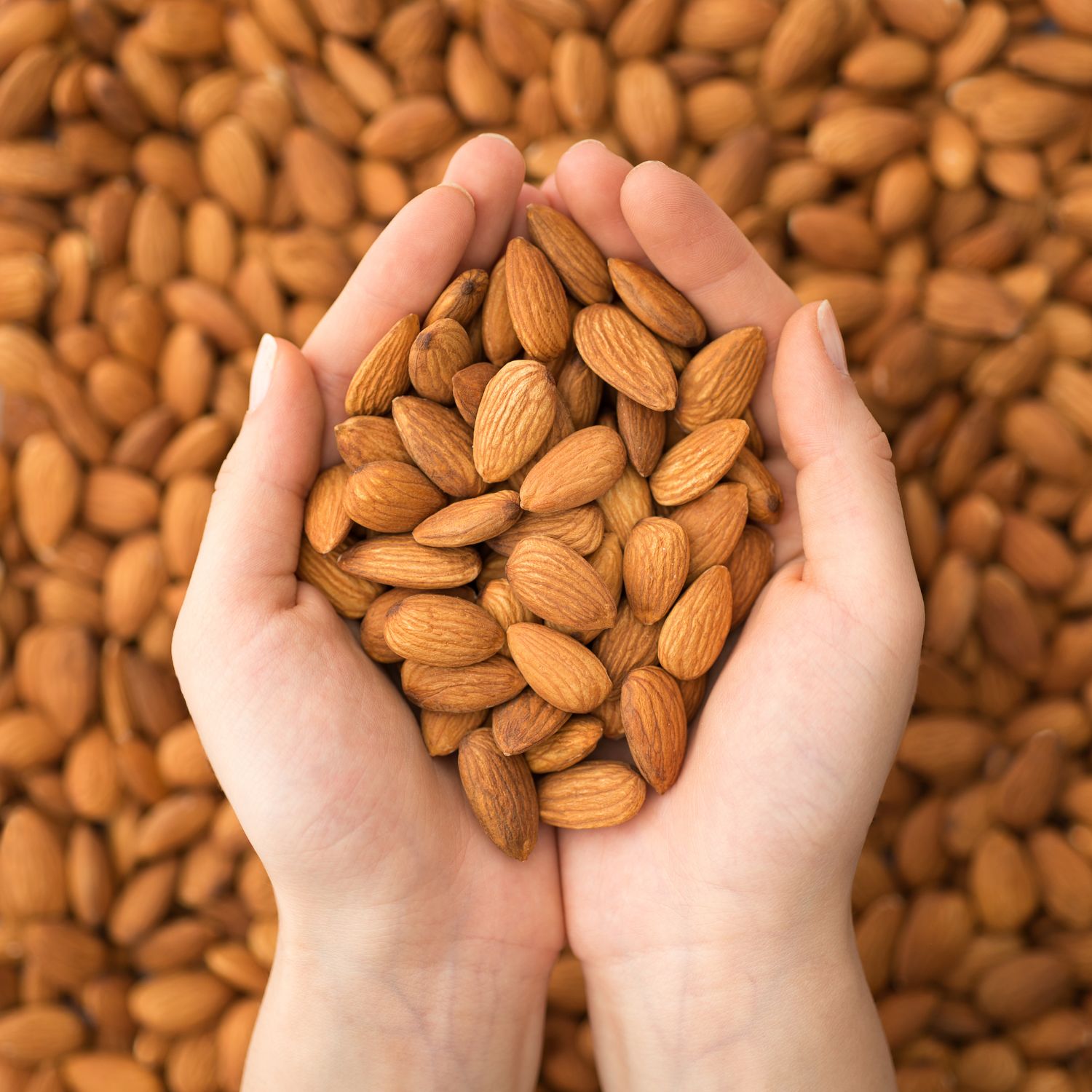 Mandorle dei Nebrodi - 200 gr - immagine 3